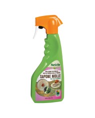 SAPONE MOLLE Ml. 500