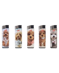 ACCENDINO Poodles