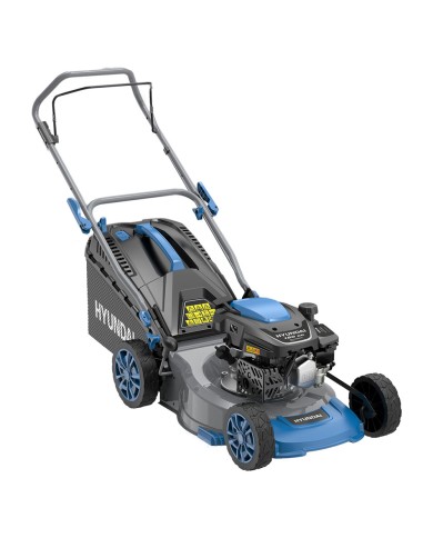 RASAERBA A SCOPPIO 65800 cc.150 - Hp 3,5