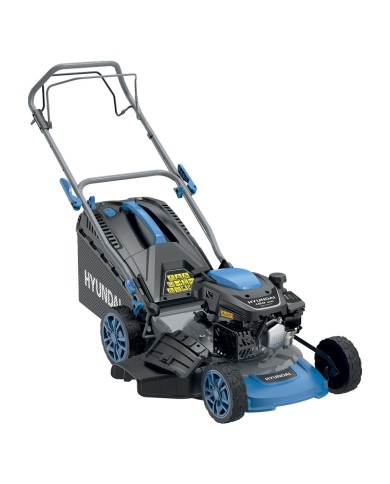 RASAERBA A SCOPPIO 65810 cc.150 - Hp 3,5