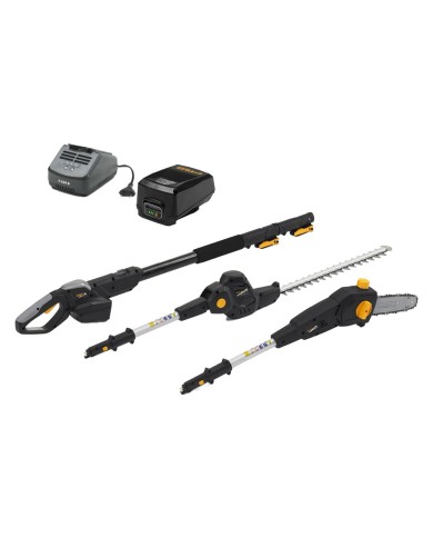 TAGLIASIEPI POTATORE A BATTERIA AM 20LI KIT 20V - 4 Ah Litio