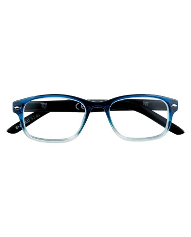 OCCHIALI PER LETTURA B1-BLU + 2,50