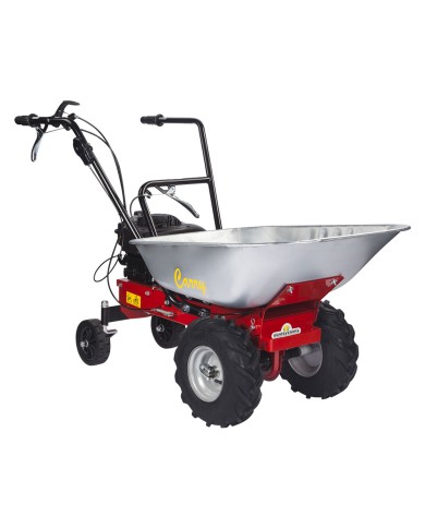 MOTOCARRIOLA CARRY cc.173