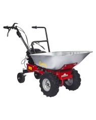 MOTOCARRIOLA CARRY cc.173