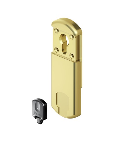 DEFENDER MAGNETICO PER SERRATURE MG 310