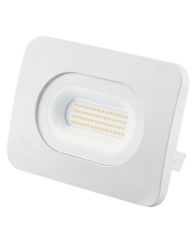 PROIETTORE A LED FXW
