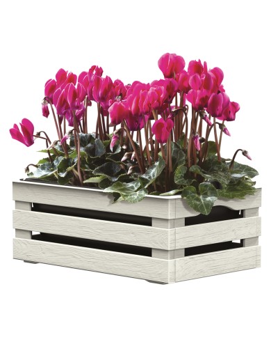 CASSETTA PORTAFIORI TINA FLOWER cm 25 x 15,5 x h.10,5