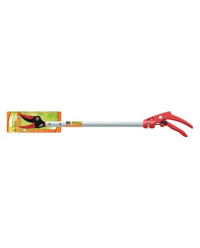 FORBICI PER ASPARAGI cm 80