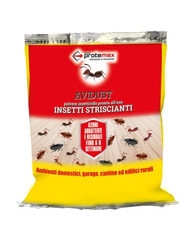 INSETTICIDA IN POLVERE kg 1 - busta