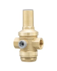 RIDUTTORE DI PRESSIONE 246 FF - PN 40