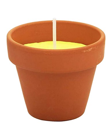 VASETTO COTTO CON CITRONELLA cf da 6 pezzi - d.7 x H.6 cm