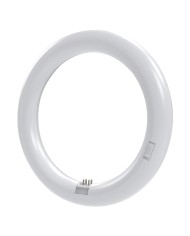NEON CIRCOLARE T9