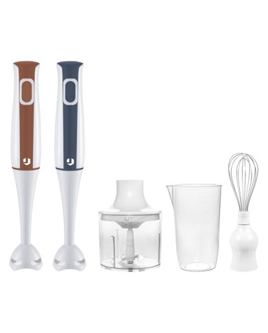 FRULLATORE A IMMERSIONE 3 IN 1 700 W