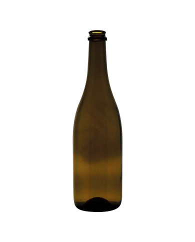 BOTTIGLIA IN VETRO TIPO CHAMPAGNE 750 ml - colore antico