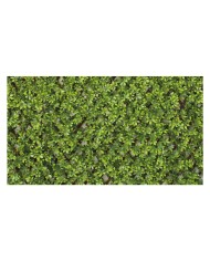 SIEPE ARTIFICIALE A PANNELLO mt 1 x 2