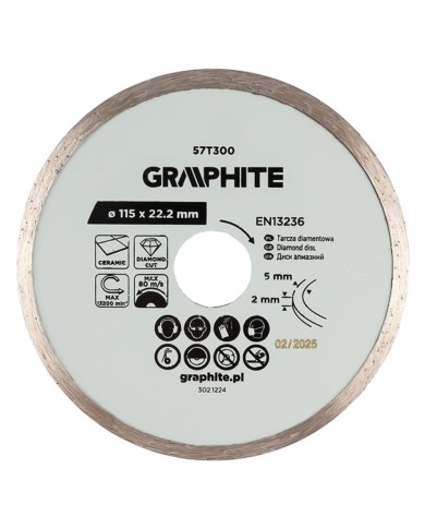 DISCO DIAMANTATO Ø 100 mm - foro 22,2 mm