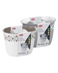 SCOLAPOSATE TOSCA