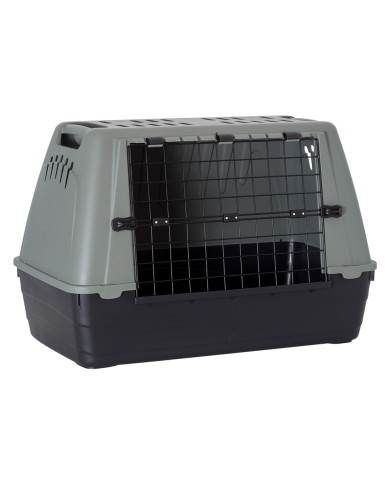 TRASPORTINO BRACCO ECO mod
