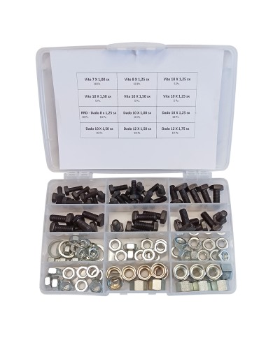 ASSORTIMENTO VITI DADI E RONDELLE totale 110 pz
