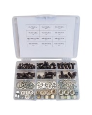 ASSORTIMENTO VITI DADI E RONDELLE totale 110 pz