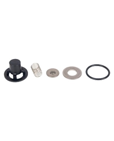VALVOLE PER MOTOPOMPA IRRORATRICE kit 4 pezzi