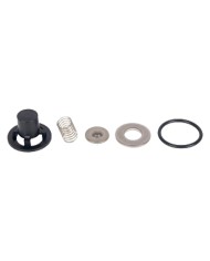 VALVOLE PER MOTOPOMPA IRRORATRICE kit 4 pezzi