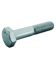 BULLONE TESTA ESAGONALE 8.8 T.E