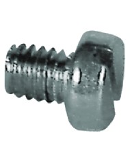 RICAMBIO VITE FERMADADO PER FORBICI DA VIGNA TC 4 x 6