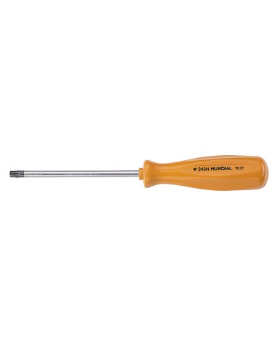 CACCIAVITE PER TORX CON FORO T x