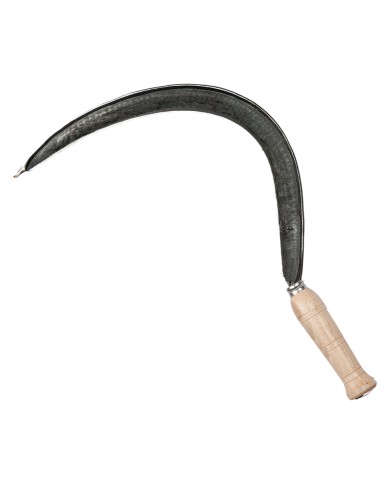 FALCIOLA LISCIA