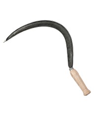 FALCIOLA LISCIA