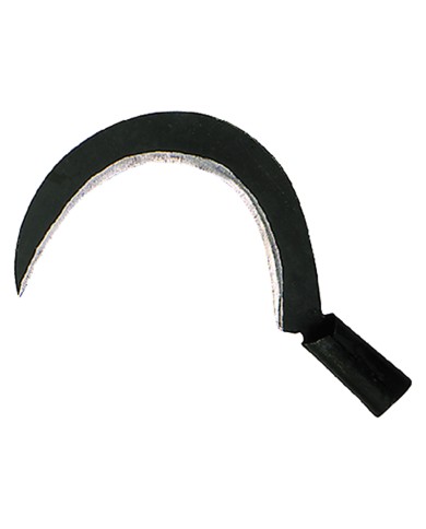 RONCOLA SCANSANO ART. 113 N. 2 cm 29