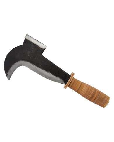 PENNATINO MERONE cm 18