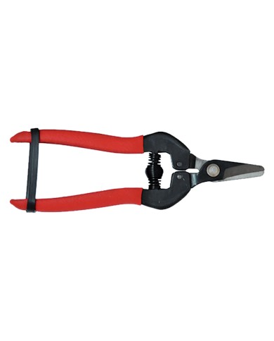 FORBICI COGLIUVA cm 16