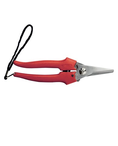 FORBICI COGLIUVA art. 31327 - cm 19