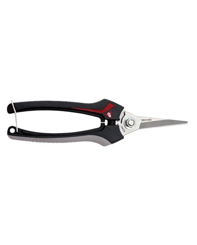 FORBICI COGLIUVA 3624 cm 19