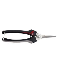 FORBICI COGLIUVA 3624 cm 19