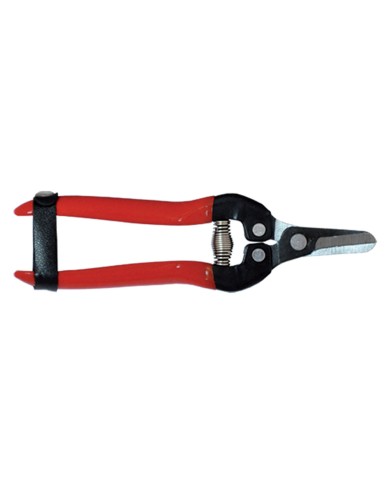 FORBICI COGLIUVA cm 16