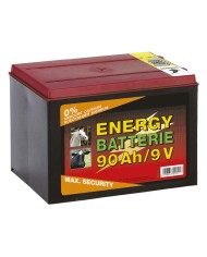 BATTERIA PER ELETTRIFICATORE