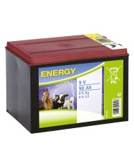 BATTERIA PER ELETTRIFICATORE 9V