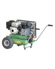 MOTOCOMPRESSORE ENERCOMP 55 Hp 4,8