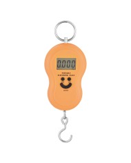 BILANCIA DIGITALE PORTATILE 40 kg