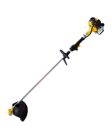 DECESPUGLIATORE PG260W Hp 1,0 - c accessori