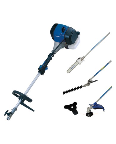 DECESPUGLIATORE 4 IN 1 LDMT430 Hp 1,7 - cc 42,7