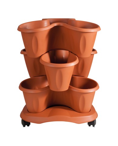 SET VASO TRIFOGLIO 40xh.51 6