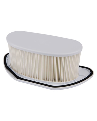 FILTRO PER BIDONE ASPIRAPOLVERE per modello VC3211H
