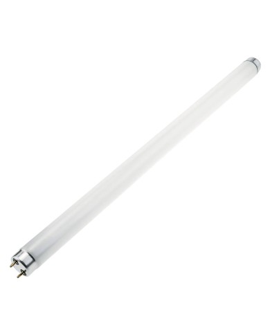 LAMPADA NEON