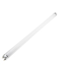 LAMPADA NEON 8W - per modello con carta adesiva