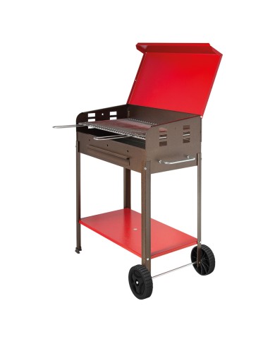 BARBECUE A CARBONE VANESSA 40 x