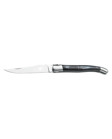 COLTELLO DA TASCA LIGUIOLE cm 21,5